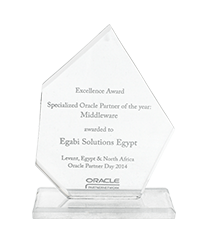 Oracle Excellence Specialized Partner