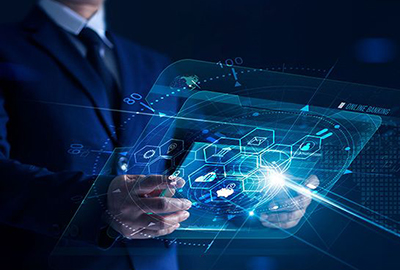 Portals and E-Services Development