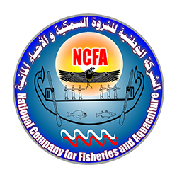 NCFA