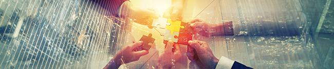 Technology Partners